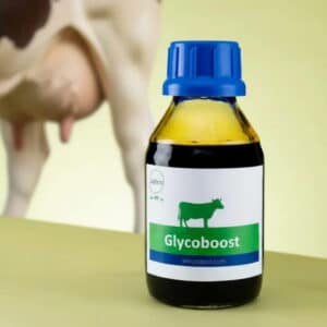Glycoboost